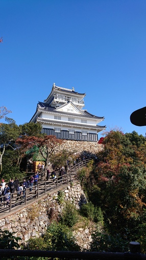 ロープウェイで楽ちん 紅葉の金華山 岐阜城へ コマブロ